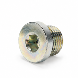 Galvanised Hex-Socket Threaded Plug 4BN-WD BSP MALE CAPTIVE SEAL HOLLOW HEX PLUG